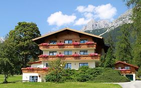 Alpenperle